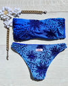 BLUE ROSES A FASCIA